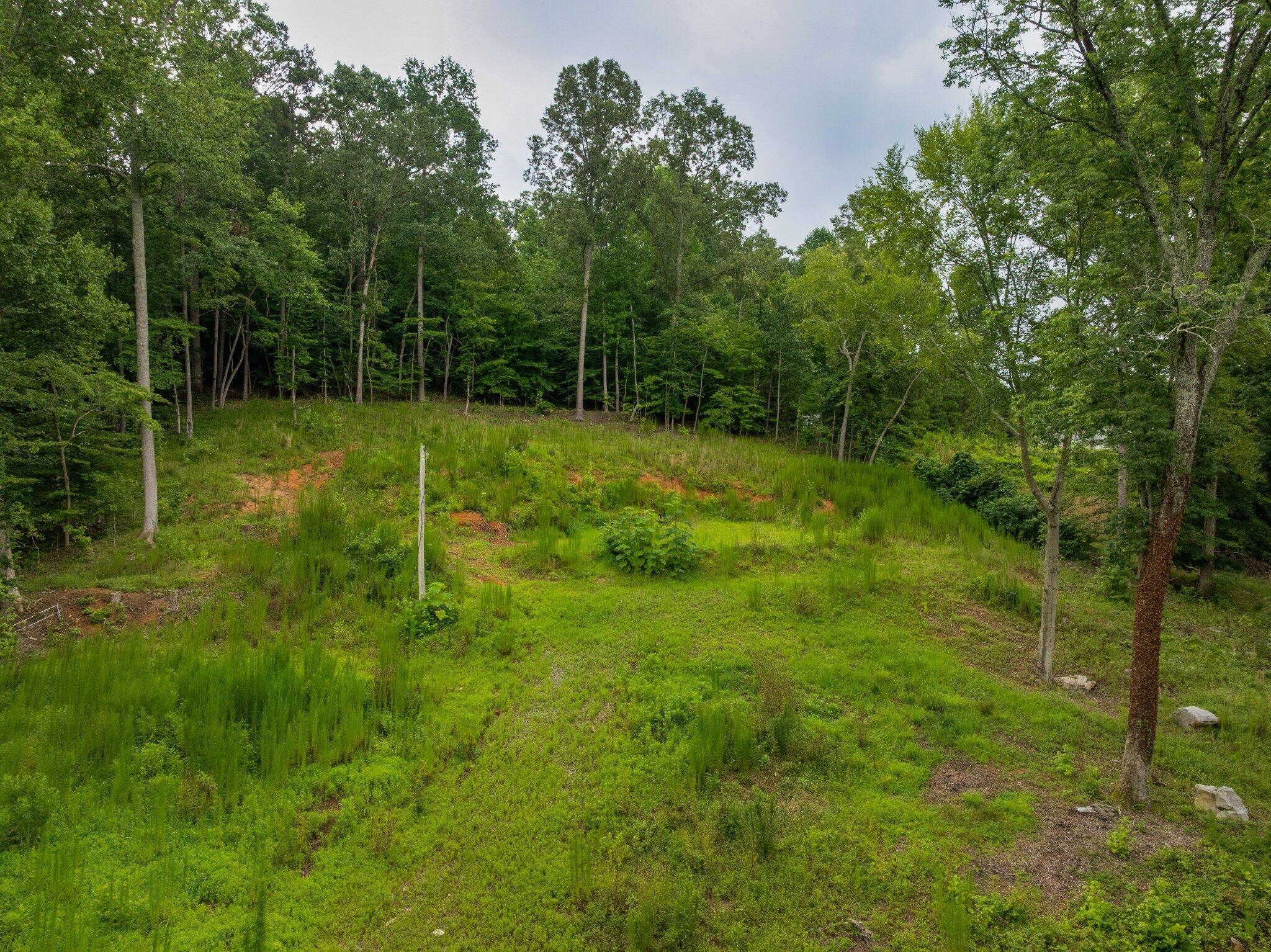 3646 Prospect Church Road Apison, TN 37302 - Photo 12 of 24 16 - 3646 Prospect Church - Drone