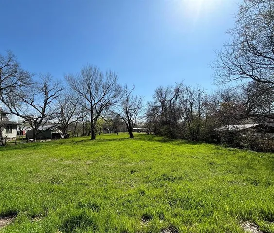 a view of a grassy field with trees
