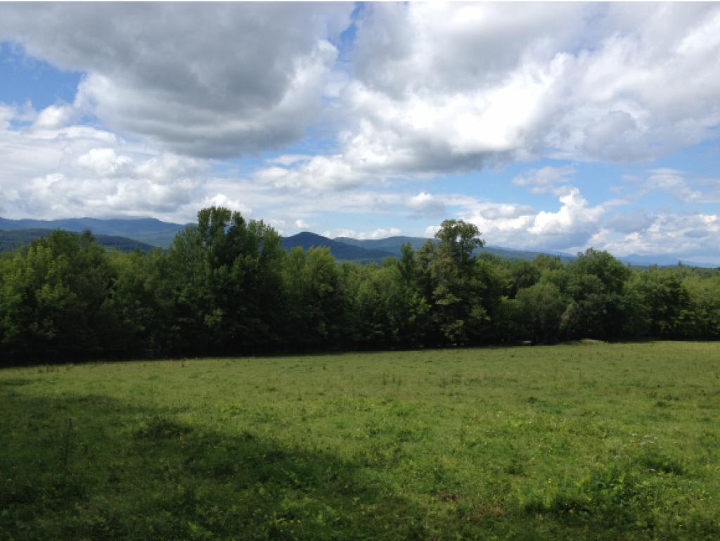 962 East Road Waitsfield, VT 05673 - Photo 1 of 20