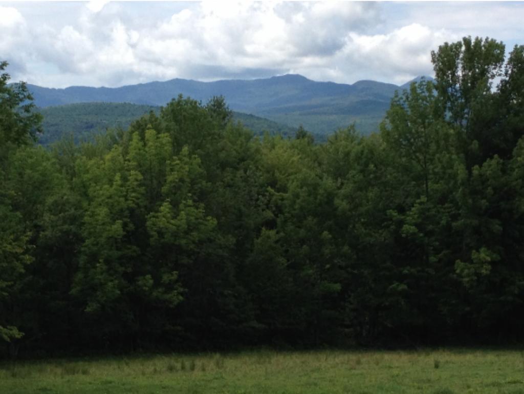 962 East Road Waitsfield, VT 05673 - Photo 2 of 20