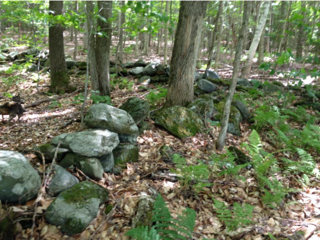 962 East Road Waitsfield, VT 05673 - Photo 12 of 20