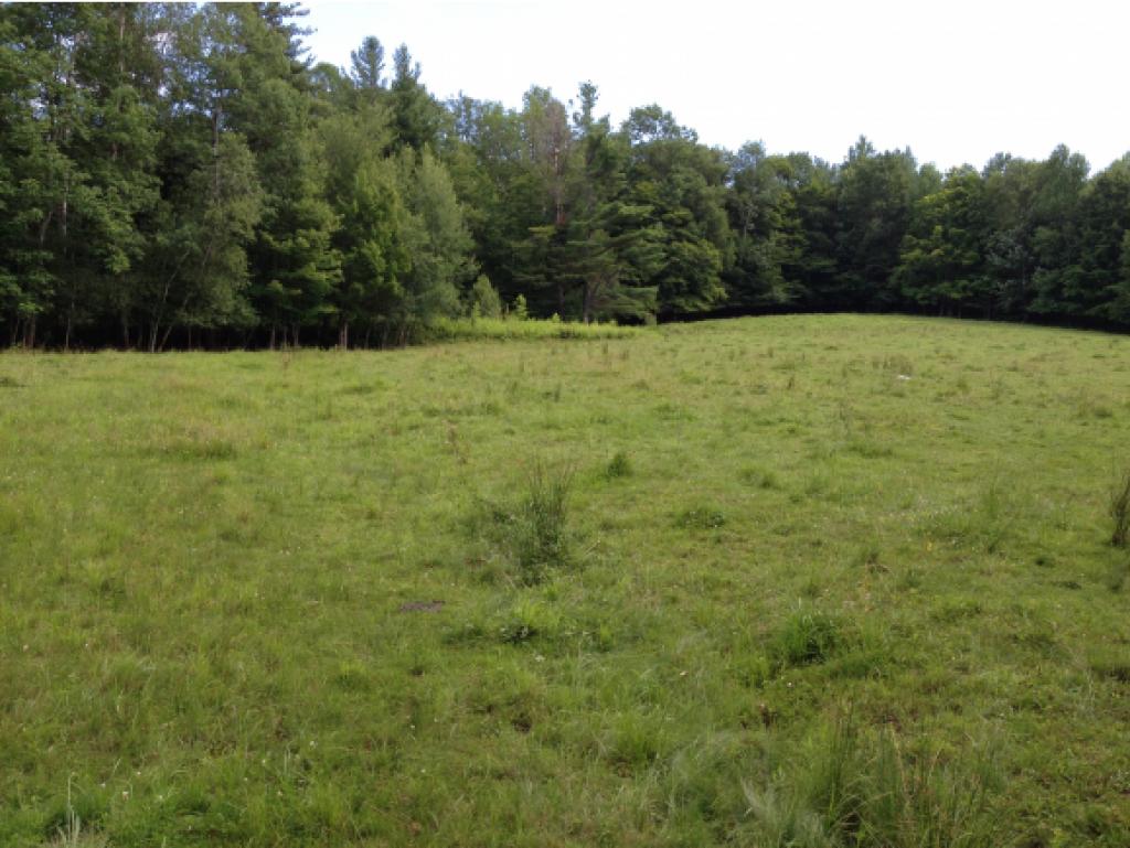 962 East Road Waitsfield, VT 05673 - Photo 13 of 20