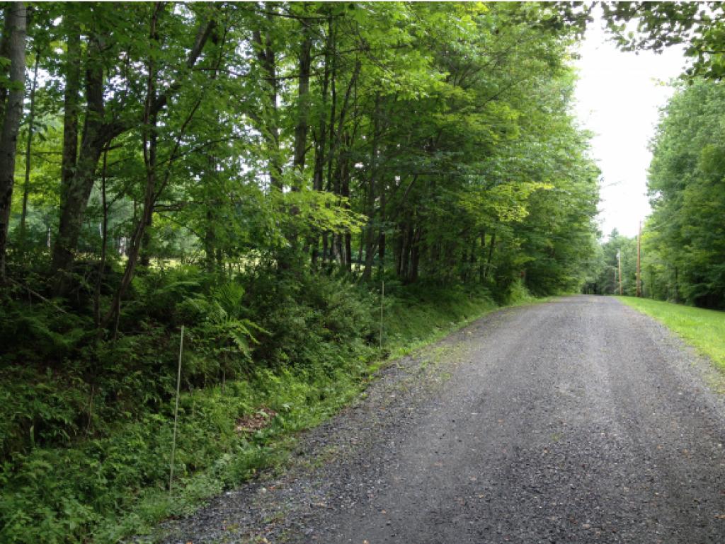 962 East Road Waitsfield, VT 05673 - Photo 14 of 20