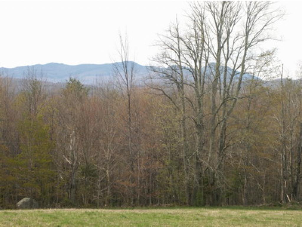 962 East Road Waitsfield, VT 05673 - Photo 15 of 20