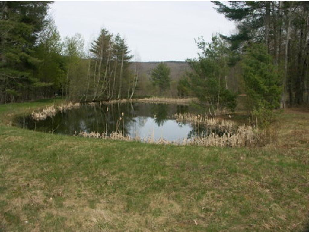962 East Road Waitsfield, VT 05673 - Photo 17 of 20