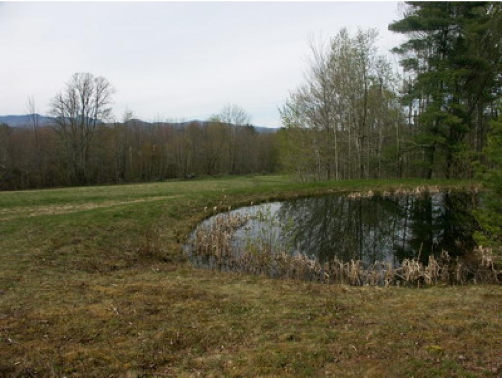 962 East Road Waitsfield, VT 05673 - Photo 18 of 20