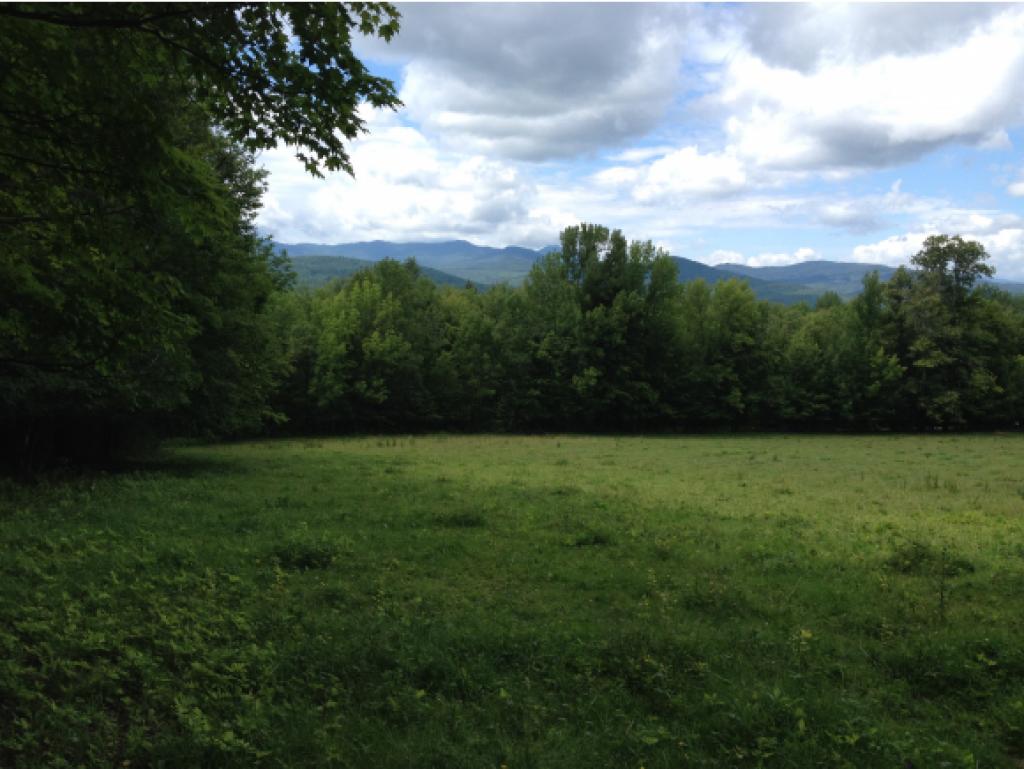 962 East Road Waitsfield, VT 05673 - Photo 3 of 20