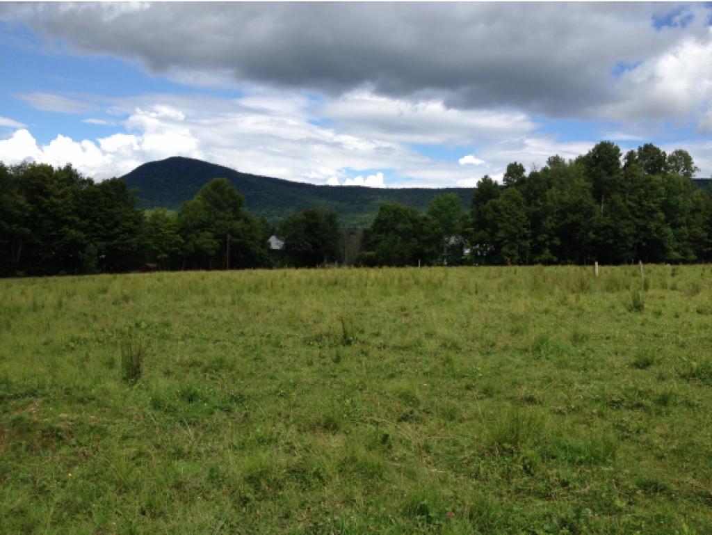 962 East Road Waitsfield, VT 05673 - Photo 4 of 20