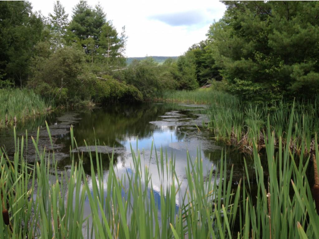 962 East Road Waitsfield, VT 05673 - Photo 5 of 20