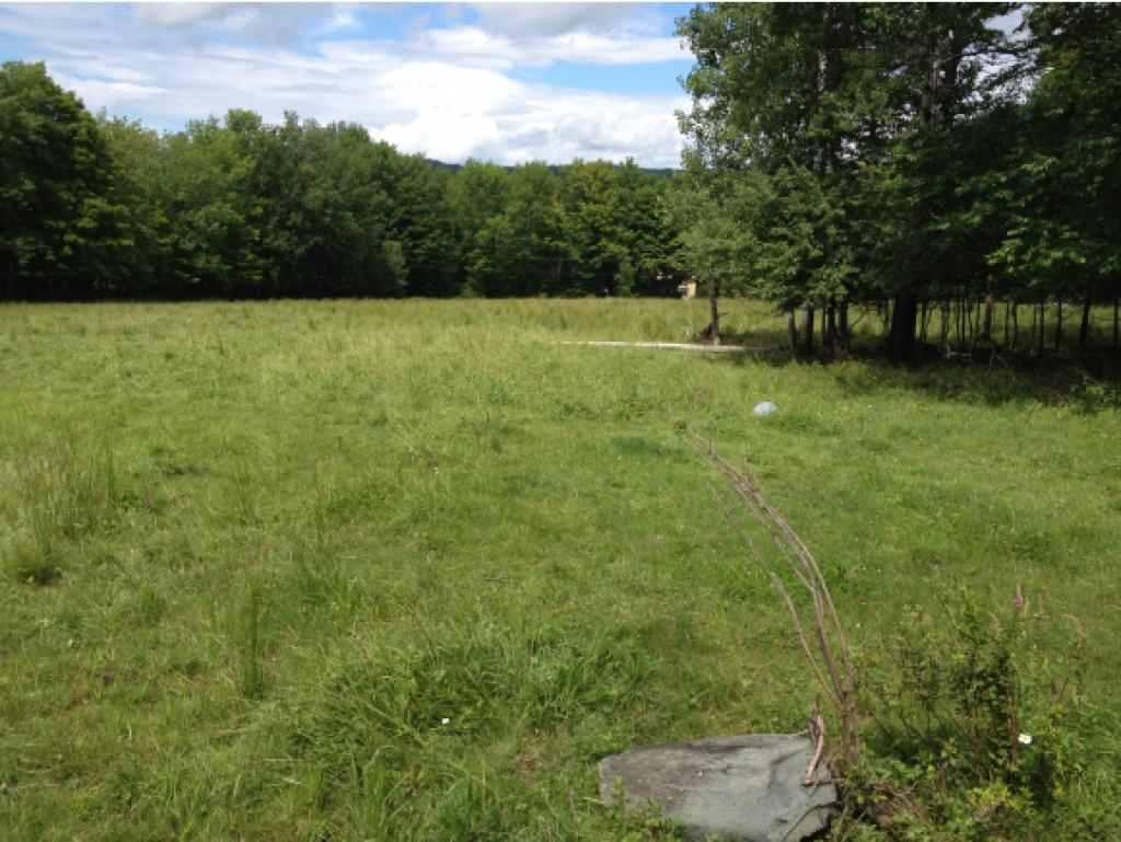 962 East Road Waitsfield, VT 05673 - Photo 8 of 20
