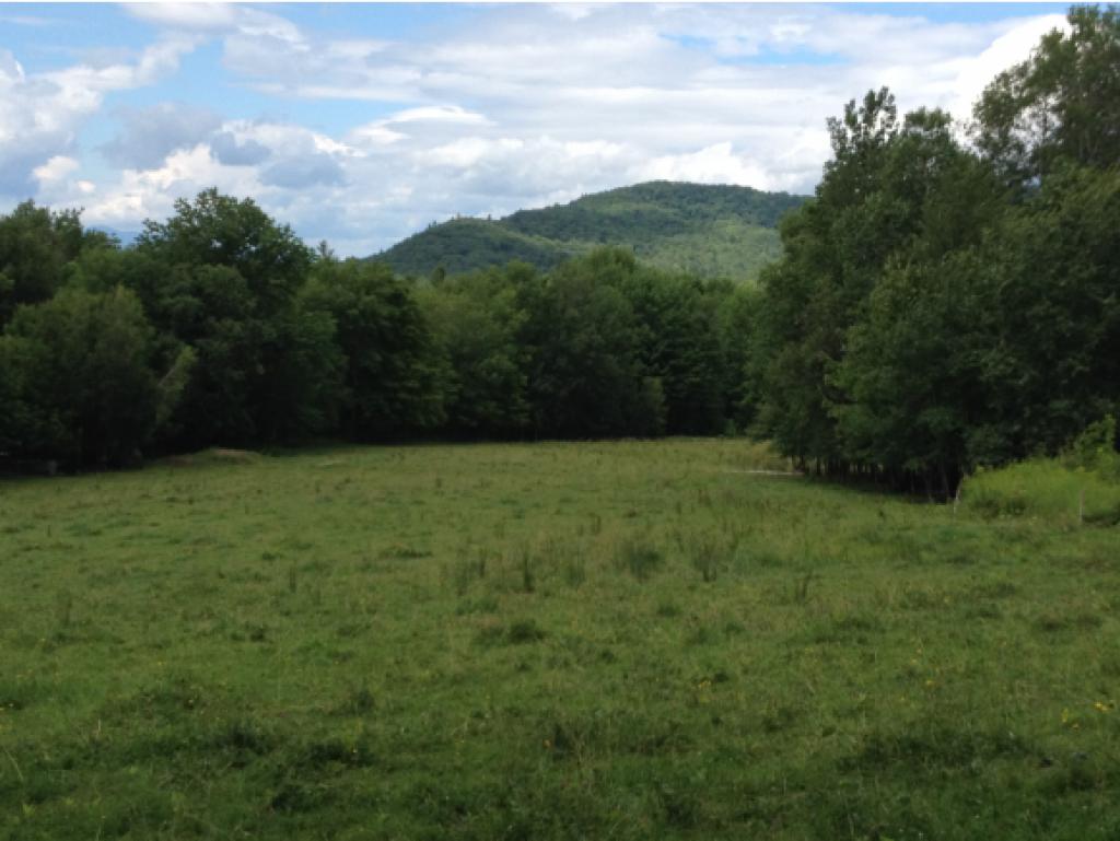 962 East Road Waitsfield, VT 05673 - Photo 9 of 20