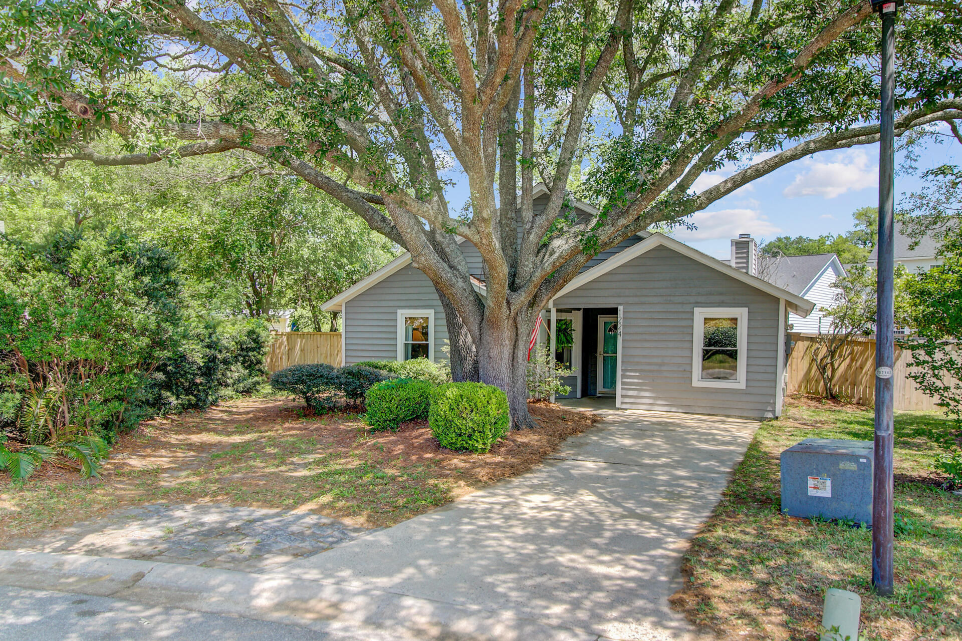1224 Decoy Court Mount Pleasant, SC 29464 - Photo 3 of 61 Shaded by Grand Live Oaks