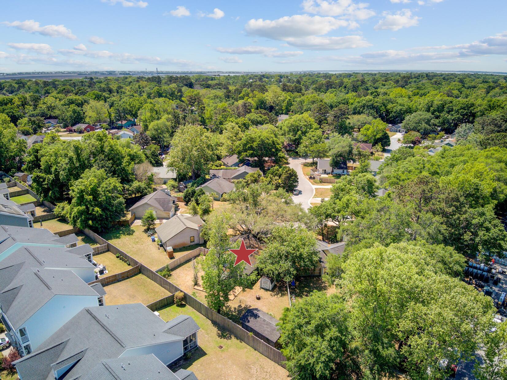 1224 Decoy Court Mount Pleasant, SC 29464 - Photo 50 of 61 Birds Eye View