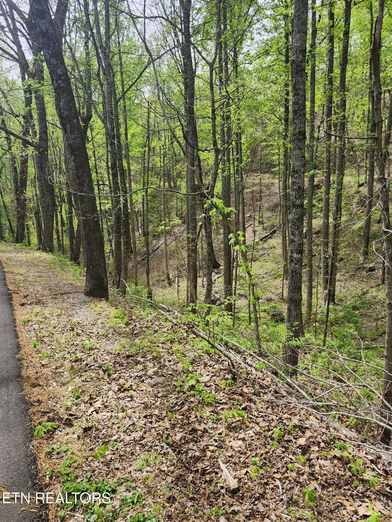 Lot 1 Hatcher Mtn Road Sevierville, TN 37862 - Photo 9 of 10 Image 09