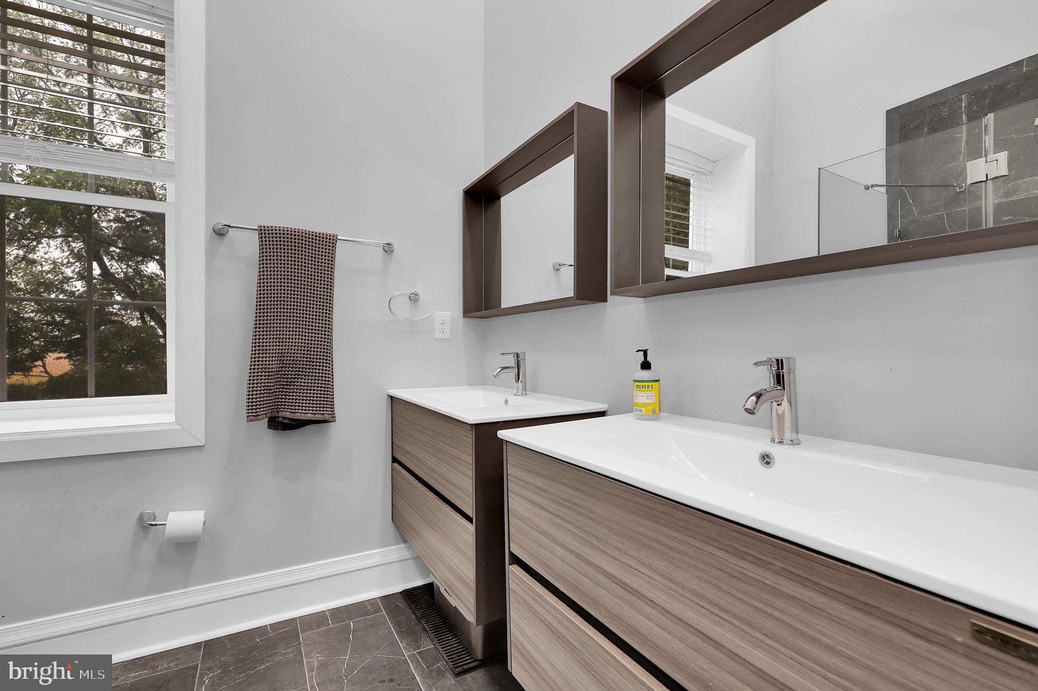 16745 Spielman Road Williamsport, MD 21795 - Photo 16 of 38 Primary Bathroom w/2 Sinks