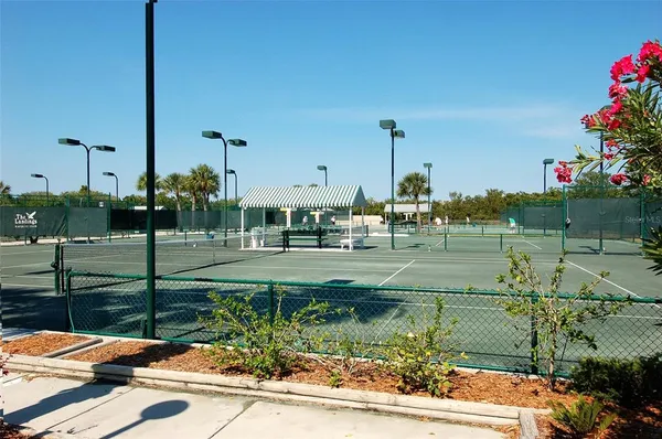 a view of a garden