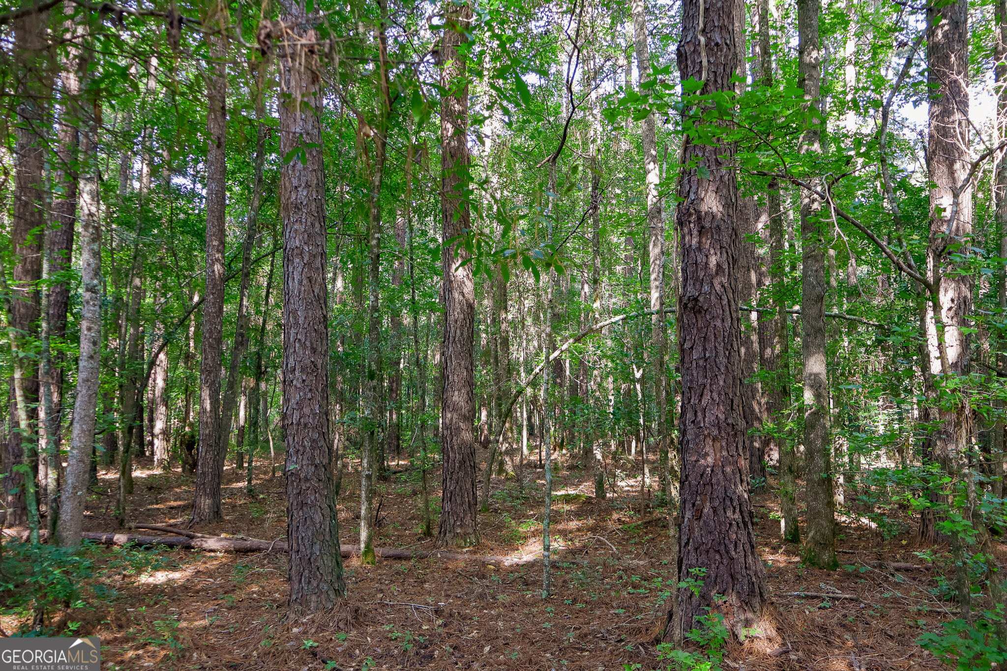1362 Doyle Road Sardis, GA 30456 - Photo 37 of 53 Gallery Image 37