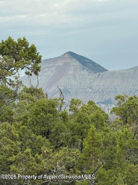 2285 Housetop Mountain Road Parachute, CO 81635 - Photo 1 of 7 2285 2