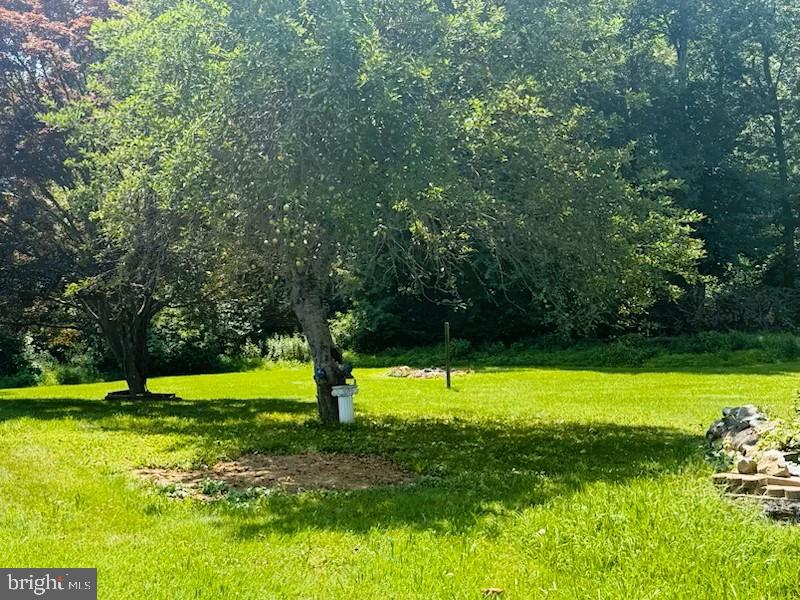 1247 Red Lion Road Bear, DE 19701 - Photo 9 of 10