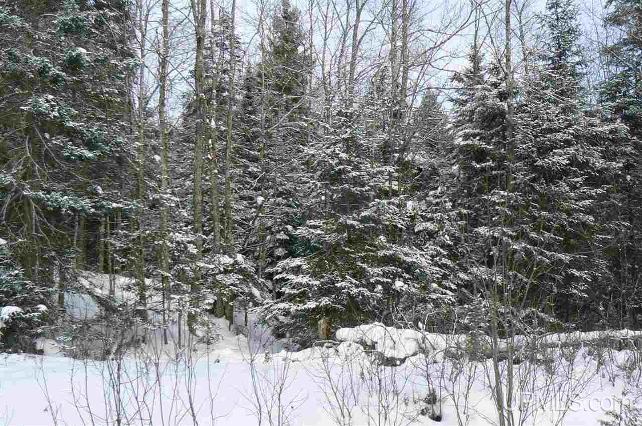 Tbd East Cold Springs Road Chatham, MI 49816 - Photo 19 of 21