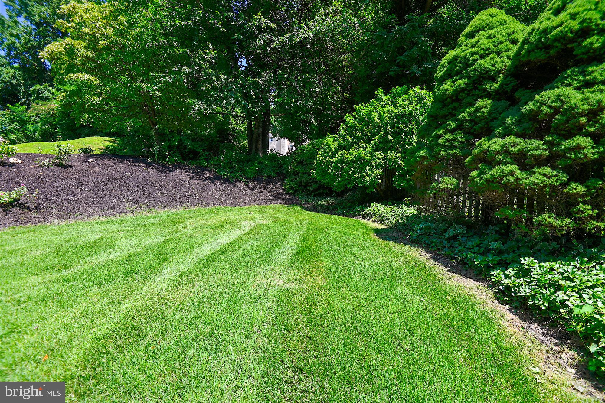 6672 Loch Hill Road Baltimore, MD 21239 - Photo 25 of 30 Lush Yard