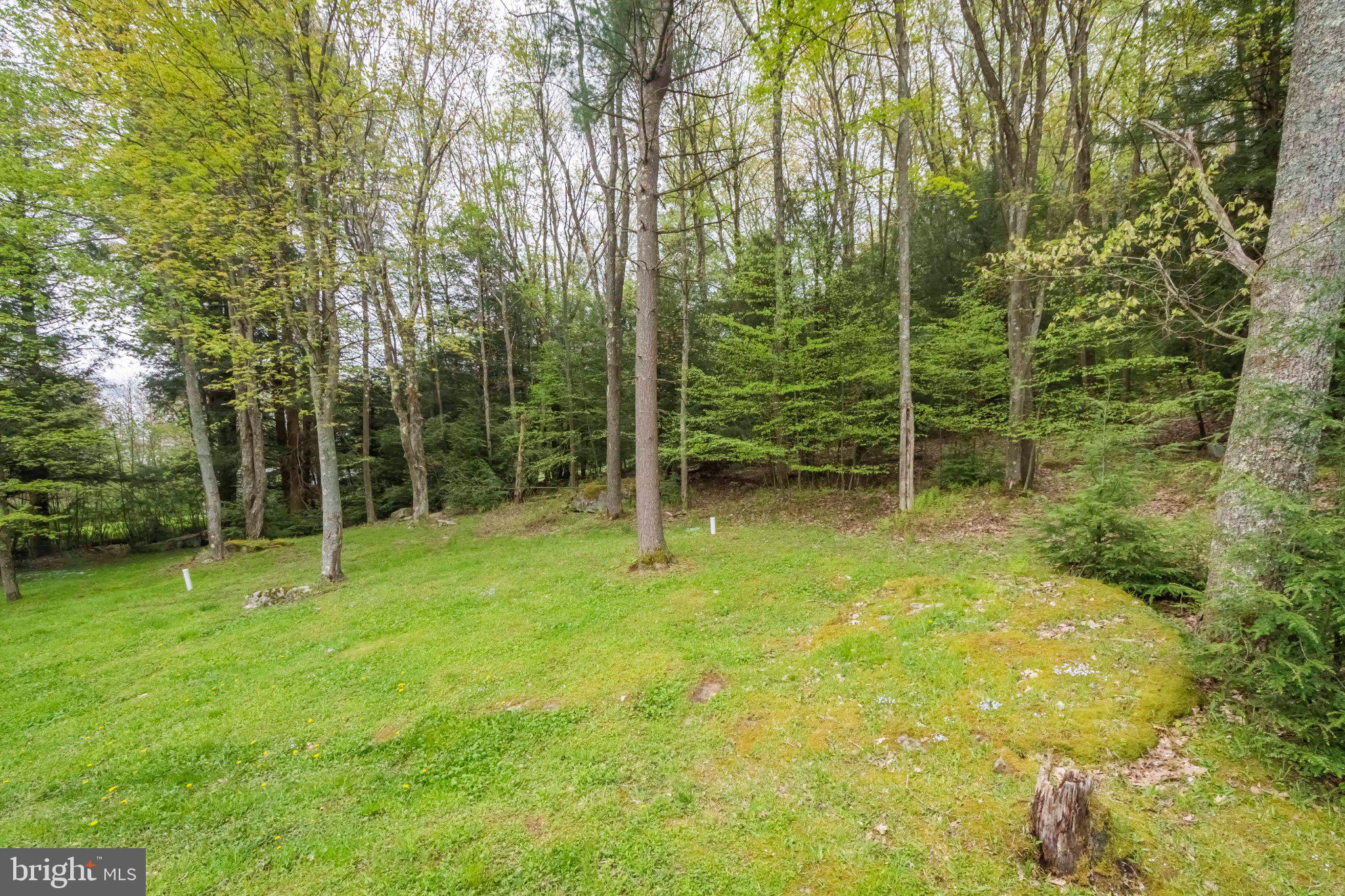 206 Mayhew Inn Road Oakland, MD 21550 - Photo 28 of 31 a view of outdoor space and yard