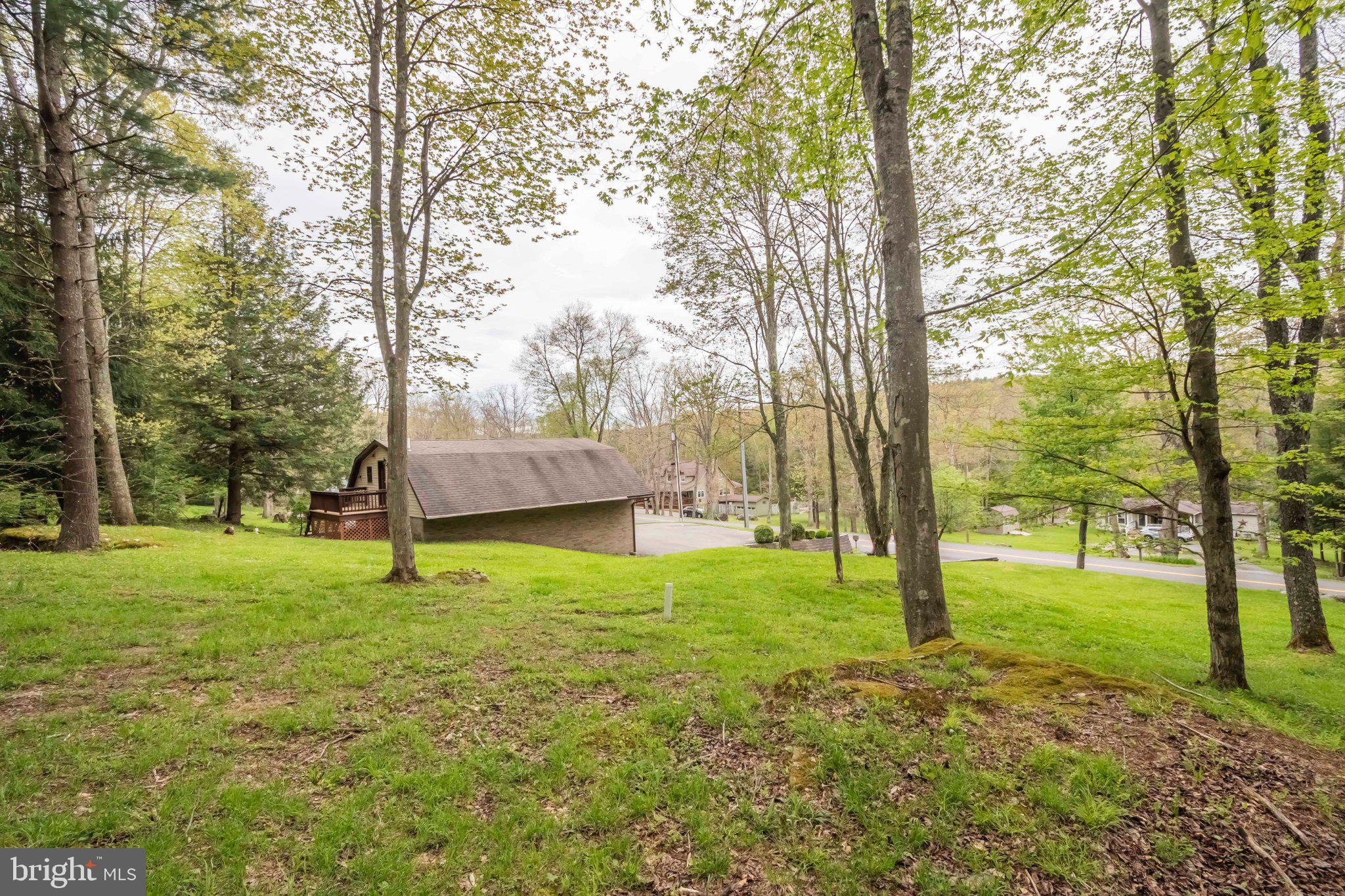206 Mayhew Inn Road Oakland, MD 21550 - Photo 29 of 31 a view of a yard with a tree