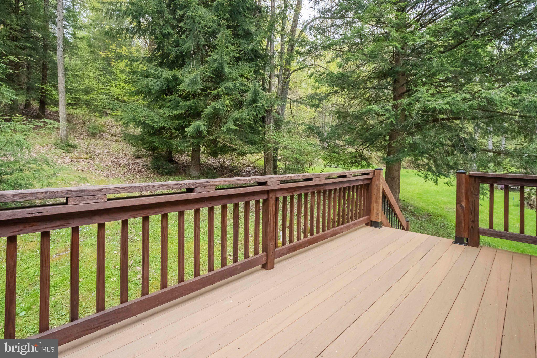 206 Mayhew Inn Road Oakland, MD 21550 - Photo 6 of 31 a balcony with trees in front of it