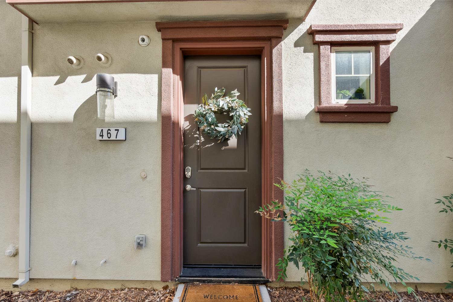 a glass door with a potted plant on it