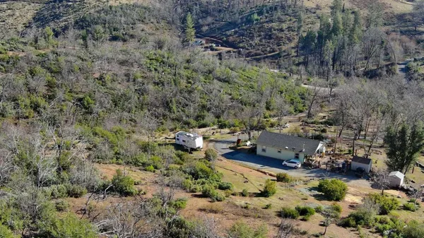 a view of a yard with a tree