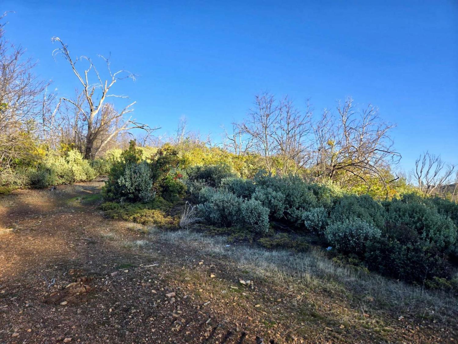 0 Doster Road Mountain Ranch, CA 95246 - Photo 15 of 26