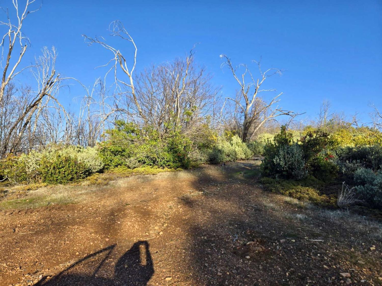 0 Doster Road Mountain Ranch, CA 95246 - Photo 2 of 26