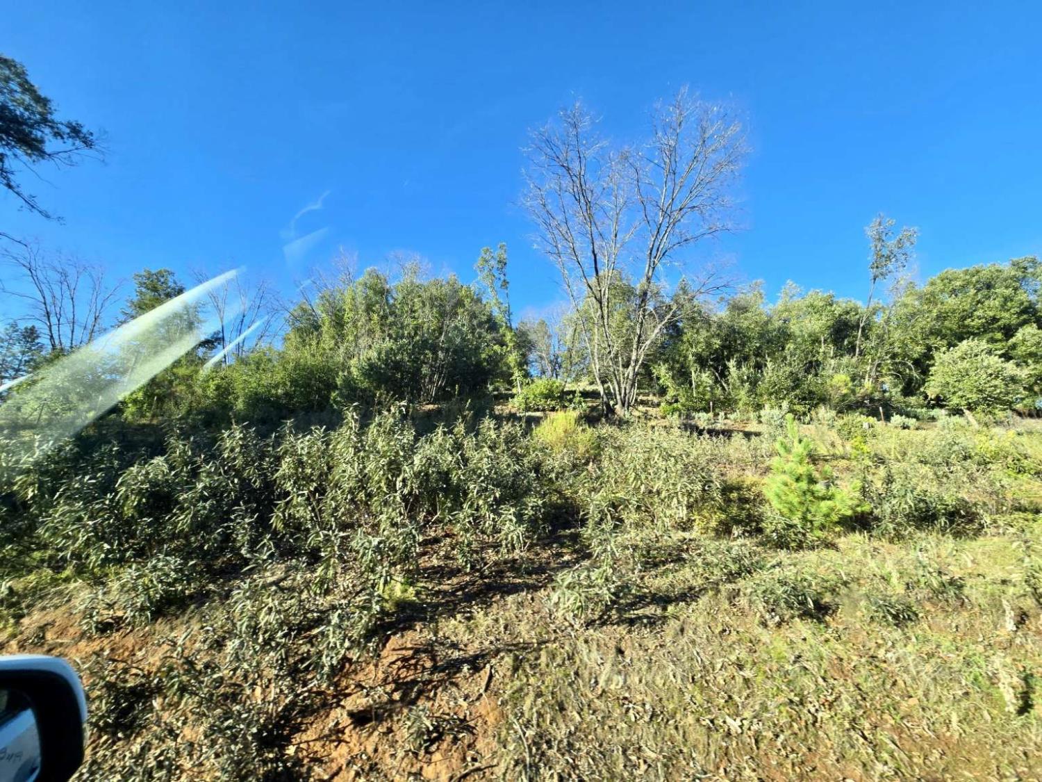 0 Doster Road Mountain Ranch, CA 95246 - Photo 22 of 26