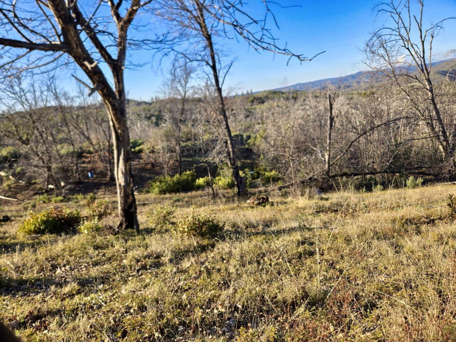 0 Doster Road Mountain Ranch, CA 95246 - Photo 25 of 26