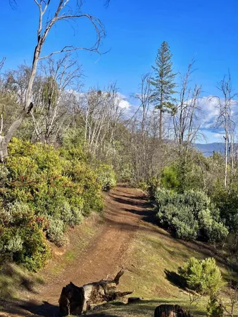 $59,997 | 0 Doster Road, Mountain Ranch, CA 95246