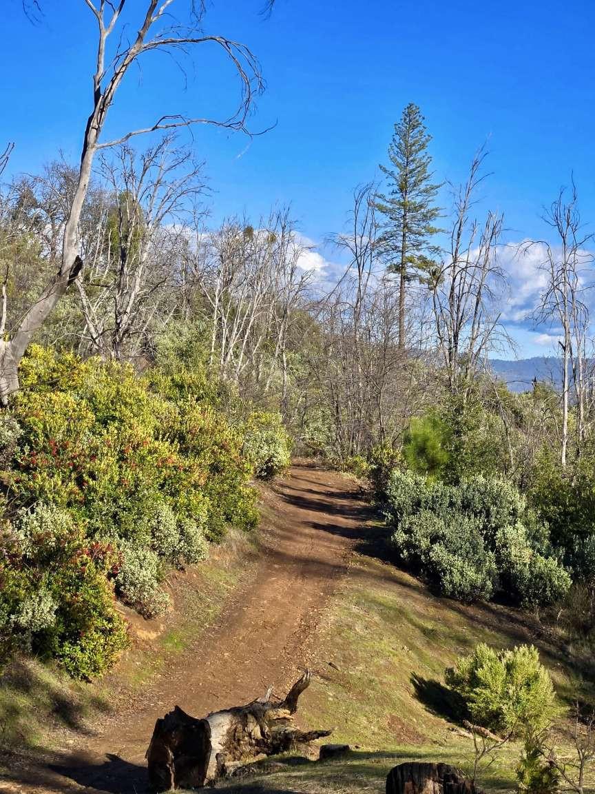 0 Doster Road Mountain Ranch, CA 95246 - Photo 26 of 26