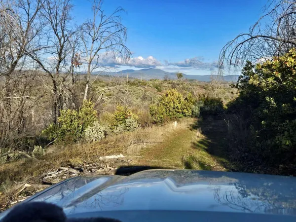 a view of a yard with an outdoor space