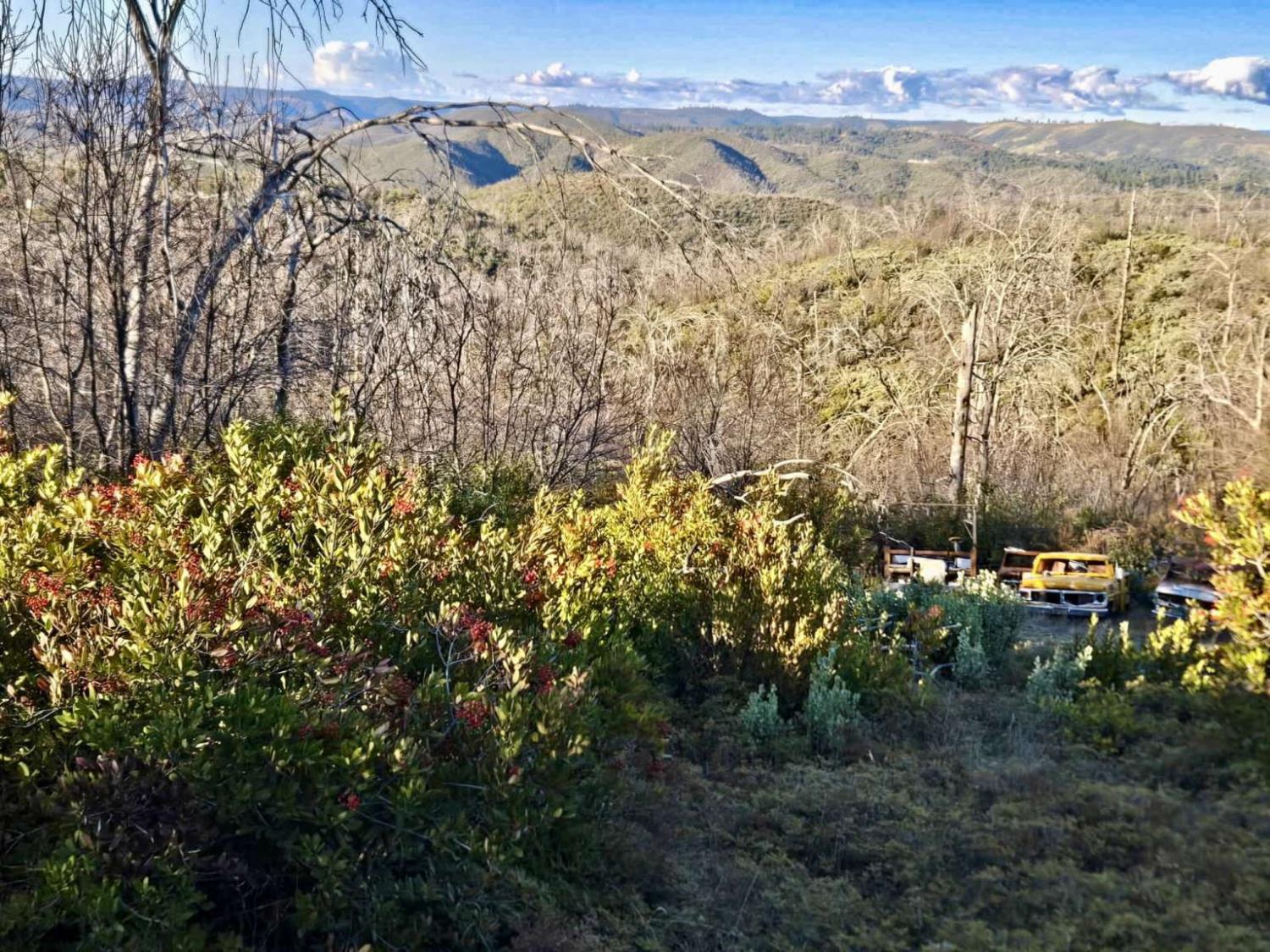 0 Doster Road Mountain Ranch, CA 95246 - Photo 10 of 26