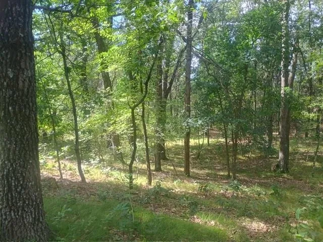 $24,000 | 1609 Kingswood Trail, Nekoosa, WI 54457