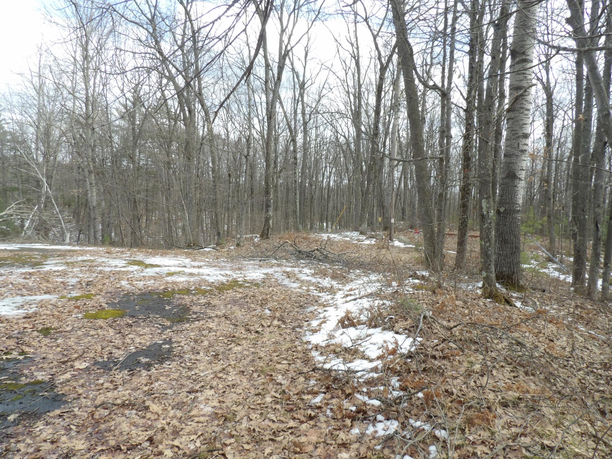 4530 Cth P Rhinelander, WI 54501 - Photo 22 of 22 Gallery Image 22