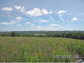 0 Norton Road Vernon Center, NY 13477 - Photo 1 of 1 Gallery Image 1