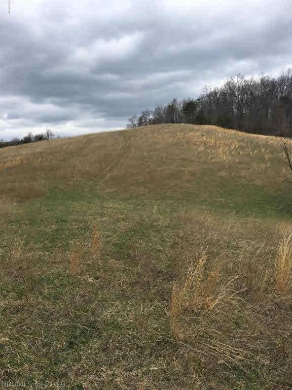 0 Daisy Road Blacksburg, VA 24060 - Photo 2 of 33 Gallery Image 2