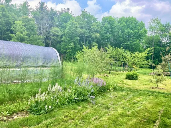 a view of a backyard