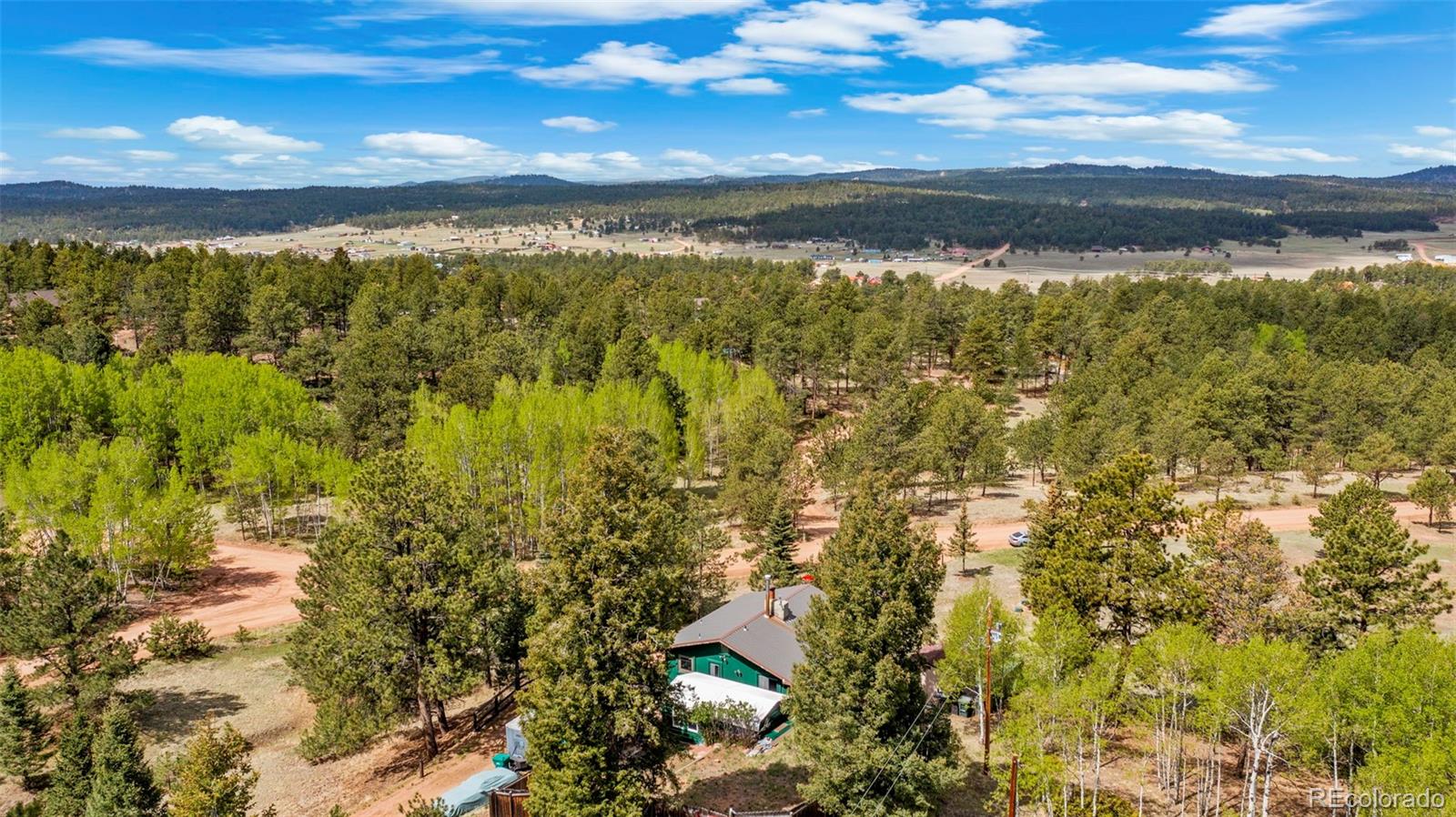 82 South Mountain Estates Road Florissant, CO 80816 - Photo 29 of 37