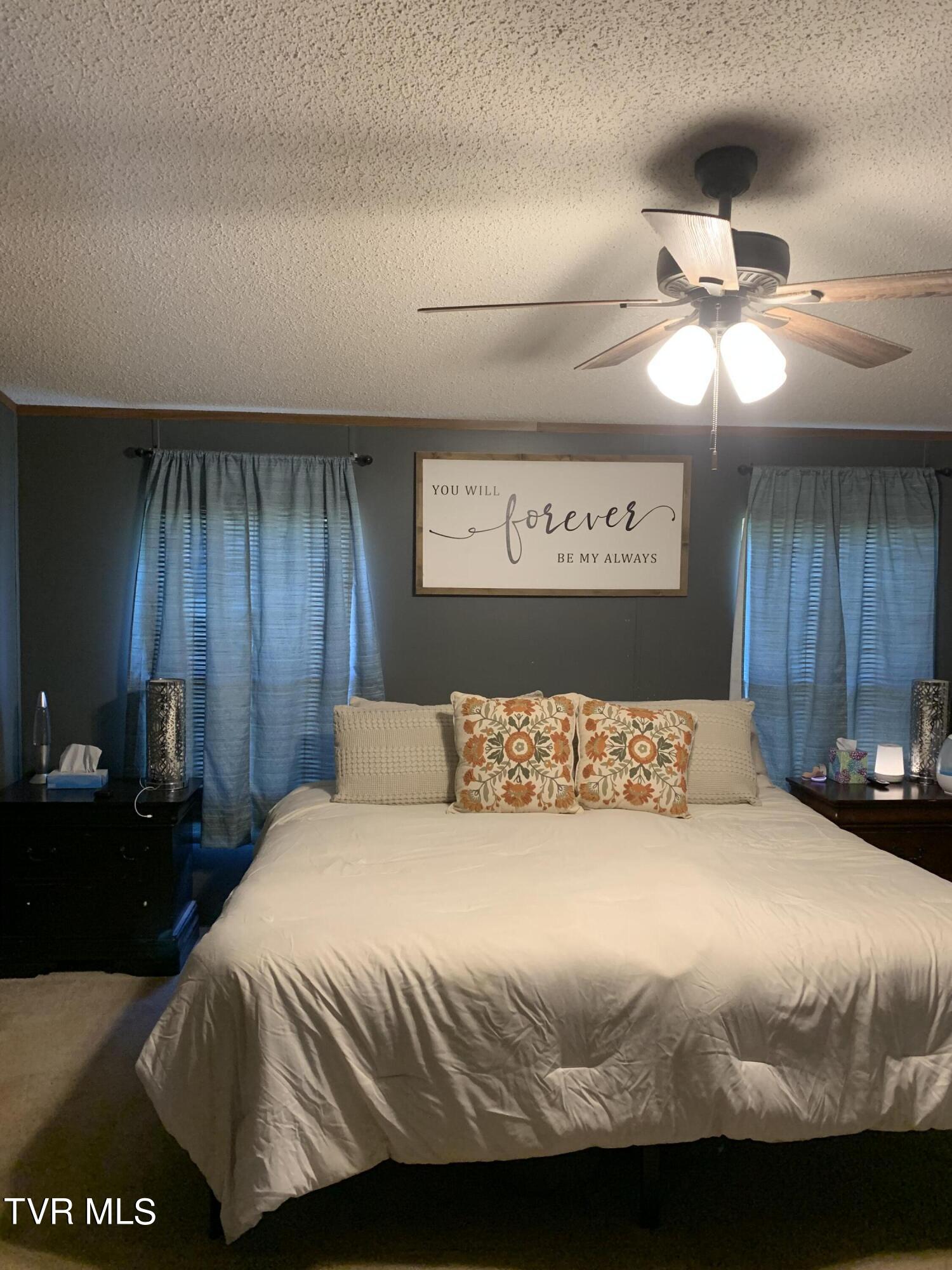 975 Fox Road Chuckey, TN 37641 - Photo 13 of 29 IMG_6832