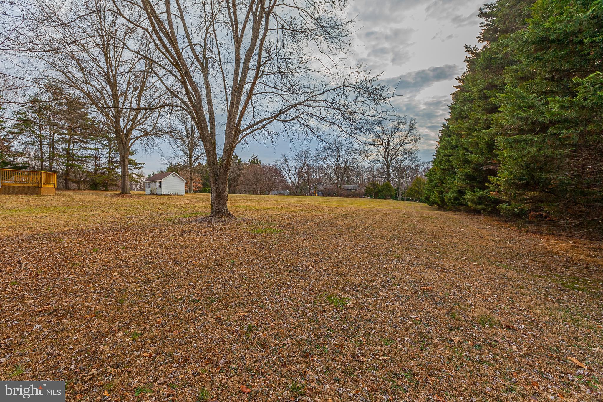 4710 Bready Road Rockville, MD 20853 - Photo 14 of 29 a view of an outdoor space with yard