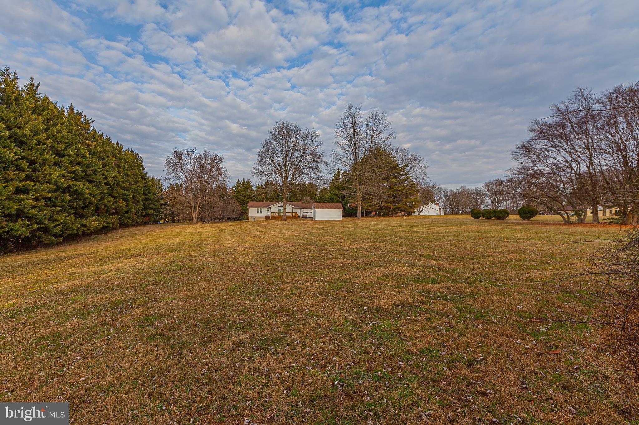 4710 Bready Road Rockville, MD 20853 - Photo 19 of 29 a view of yard with trees