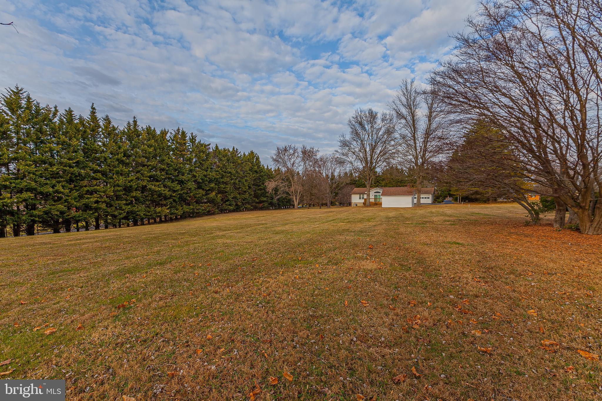 4710 Bready Road Rockville, MD 20853 - Photo 20 of 29 a view of road with large trees
