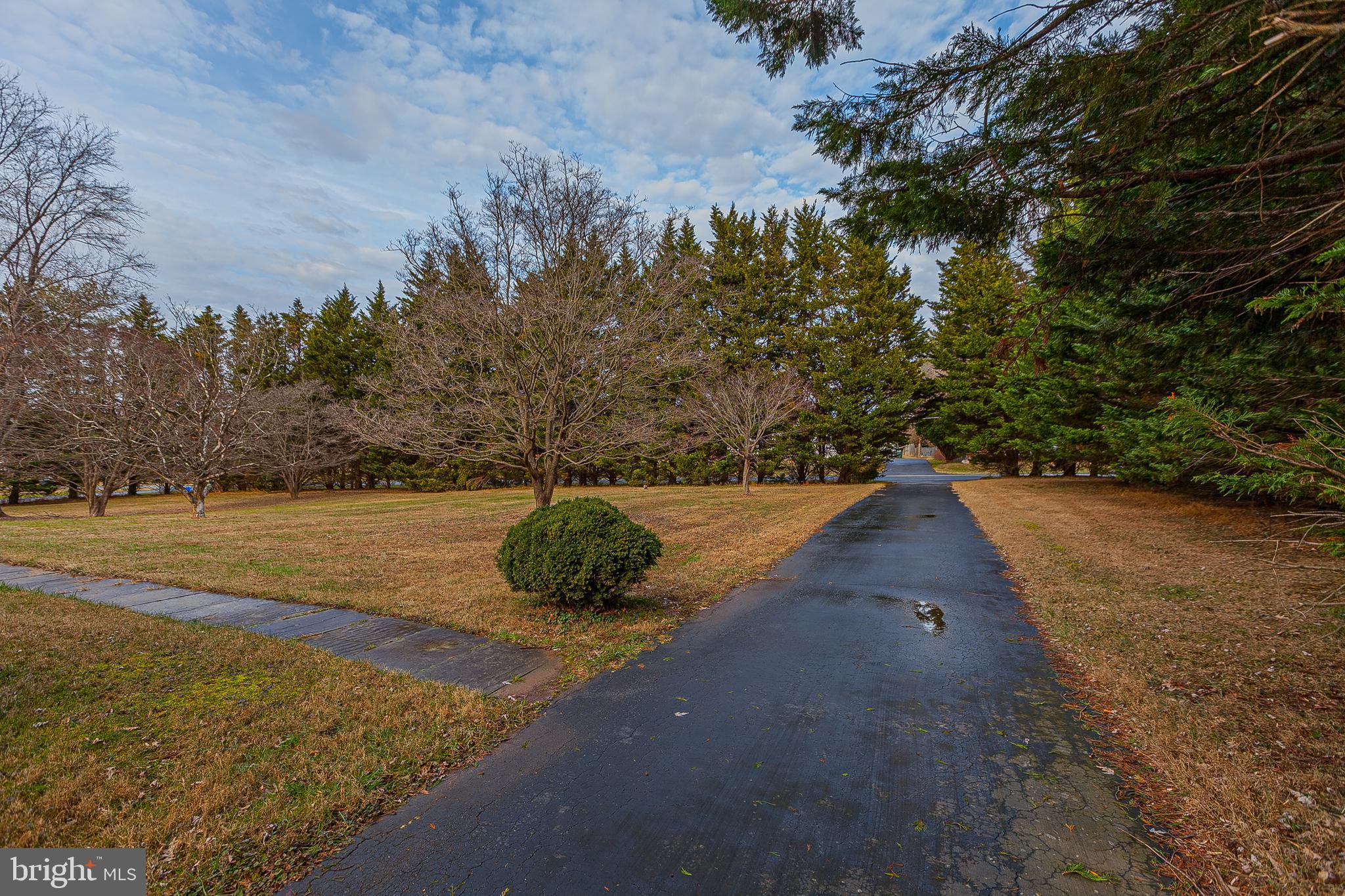 4710 Bready Road Rockville, MD 20853 - Photo 22 of 29 a view of a yard
