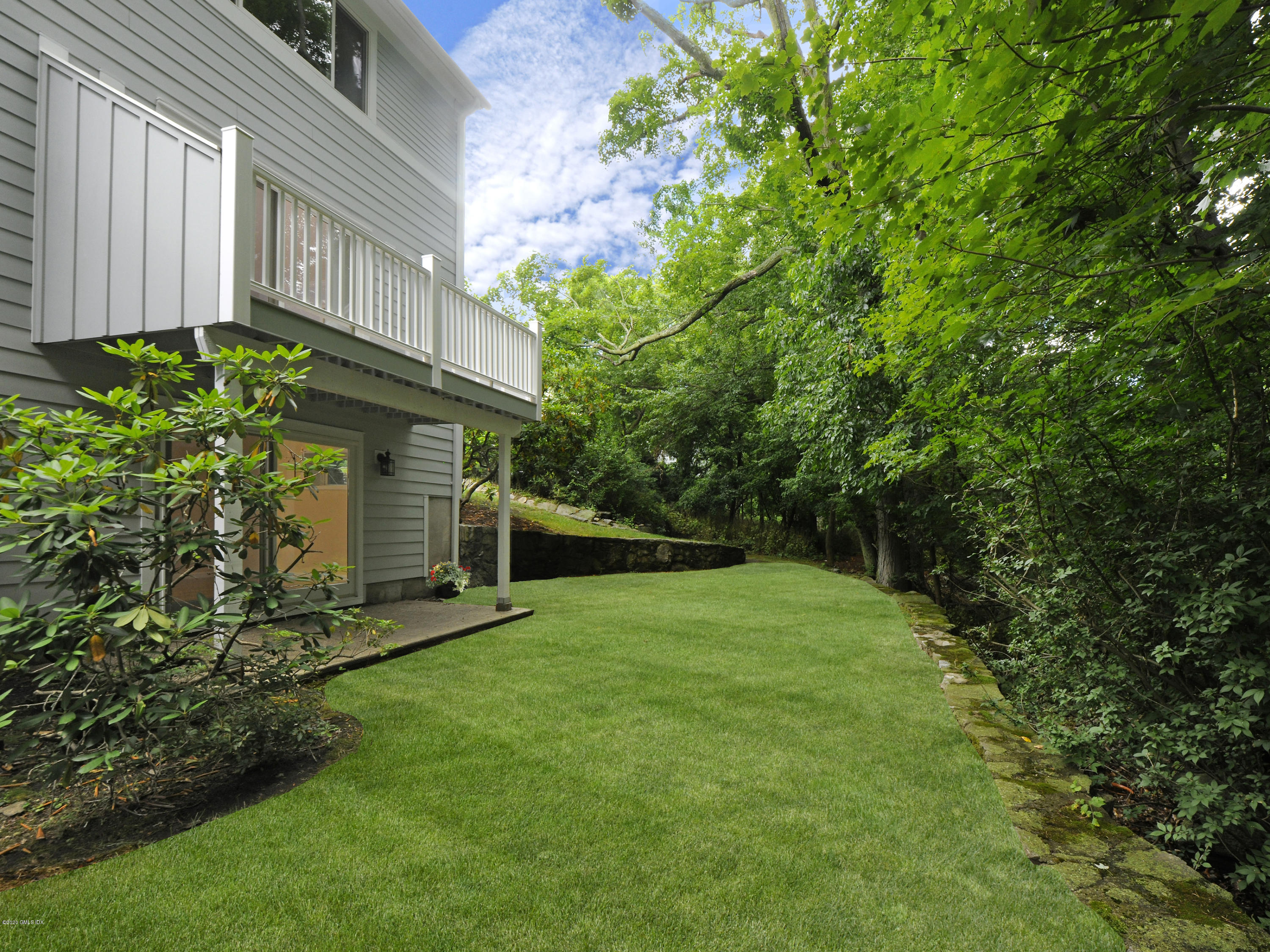 a view of a backyard with plants and large trees